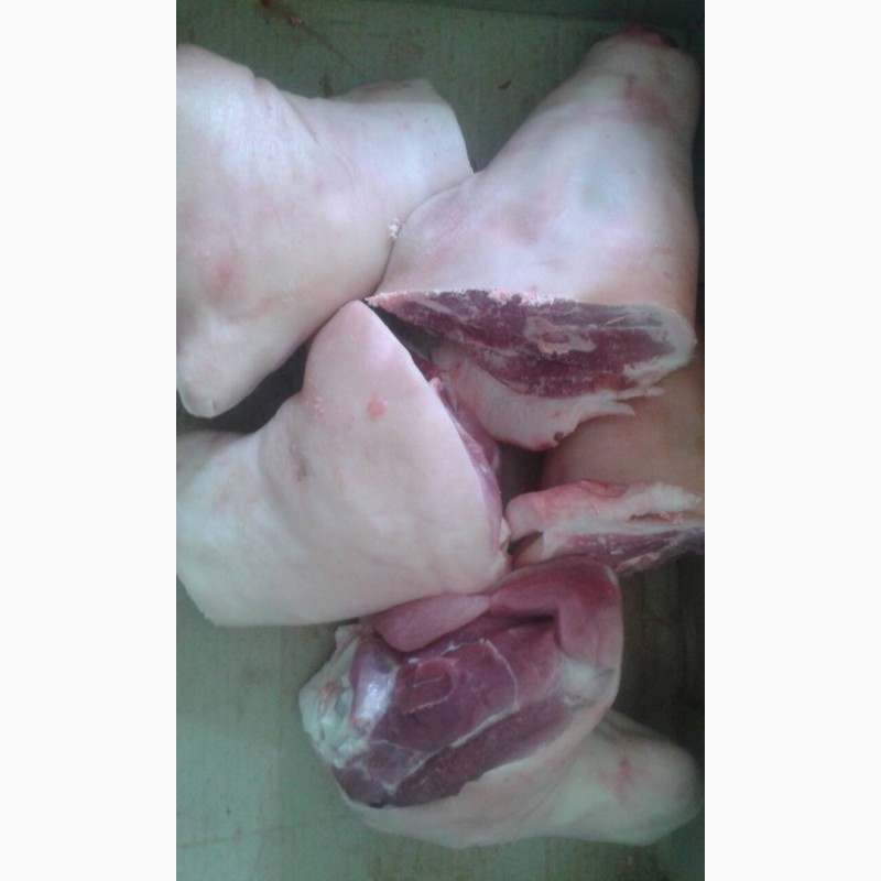 Фото 3. Голяшка свиная на кости (перед. зад) микс, оптом из МСК, Мясной Двор Брянск