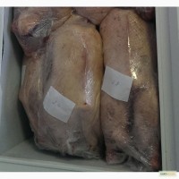 Продам мясо деревенских гусей оптом в и в розницу