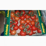 Продам оптом томаты на ветке из Турции