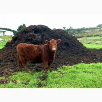 Коровий навоз свежий в мешках по 60 литров