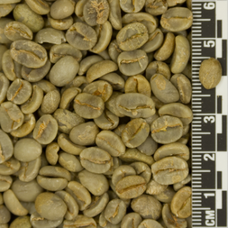 От производителя кофе арабика и робуста в зернах из вьетнама / beans+powder+arabica+husk