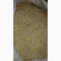 Золототысячник резаный трава, цвет (оптом от 5кг)