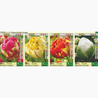 Луковицы тюльпанов оптом на выгонку (Голландия) и др