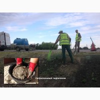 Рекультивация и восстановление земель сапропелевой жидкой травой
