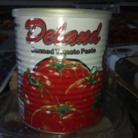 Иранская томатная паста Deland