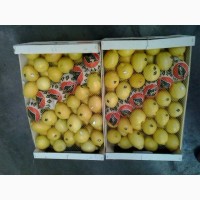 Лимоны из МАРОККО