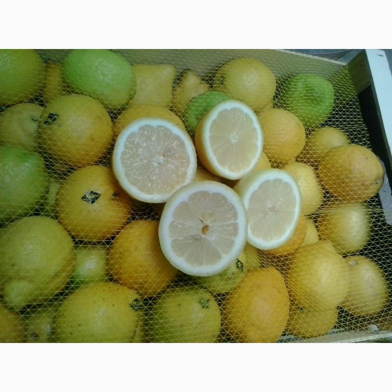 Фото 4. Лимоны из МАРОККО