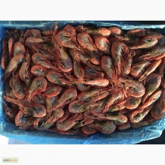 Продам креветки вареномороженные на складе в СПБ