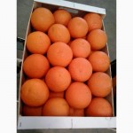 Апельсины сорта Марок Лейт
