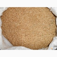 Зерно Пшеницы Продовольственной 3класс