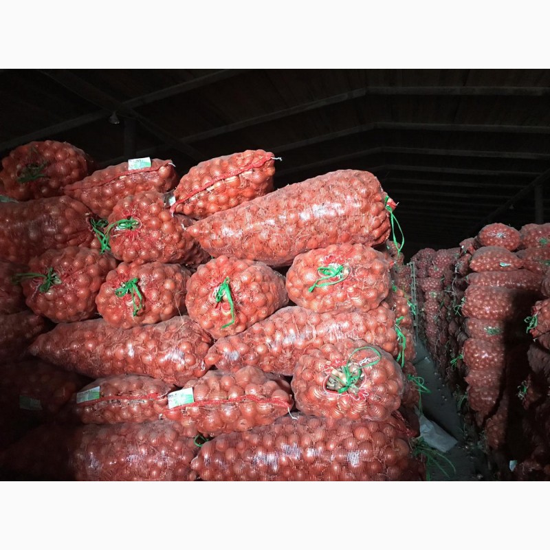 Фото 5. Продам лук репчатый оптом в Ростовской области