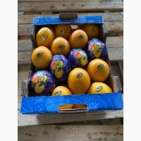 Апельсины оптом из Сирии напрямую от производителя