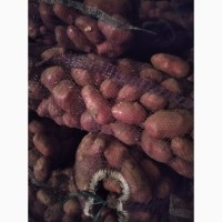 Картофель ОПТОМ со склада в Астрахани
