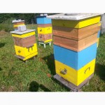 Пчелопакеты пчелы