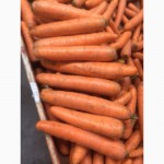 Продаём морковь мытую