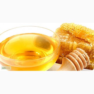 Алтайский мёд по доступным ценам во все регионы