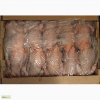 Курятина ЦБ 1-2 категории оптом (охлажденка, заморозка) напрямую от производителя