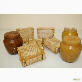 Продам мёд сотовый-секционный