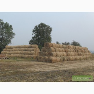 Свежайшее луговое сено в рулонах (350 кг)