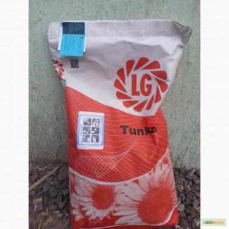 Семена классических гибридов подсолнечника Тунка от компании Limagrain