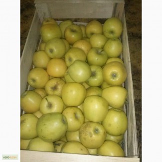 Крымское яблоко со склада г.Самара