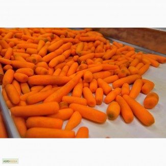 Морковь очищенная в вакууме/ кг