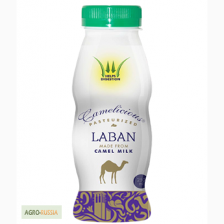 Лабан из верблюжьего молока