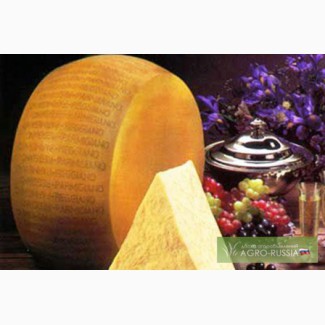 Твёрдый итальянский сыр Parmigiano Reggiano