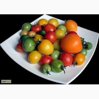 Иранские овощи и фрукты в больших объёмах оптом