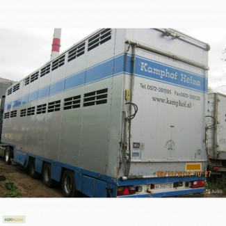 Перевозка скота специализированными скотовозами