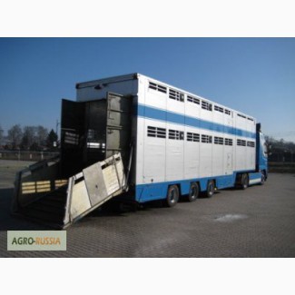 Заказ спецавтотранспорта для перевозки скота