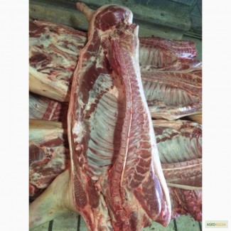 Мясо свинины от производителя в г Уфа