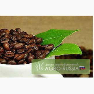Жаренный кофе в зернах сорт Арабика Бразилия Mogiana, NY 2, sc. 17/18, Arara Azul
