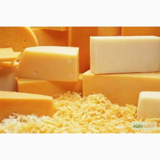 Предлагаем сыр от белорусских производителей
