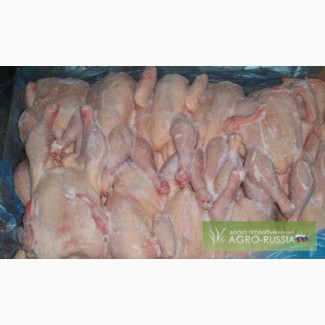 Продам мясо птицы (бройлер, несушка, родительское стадо)
