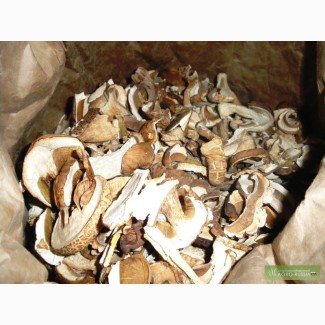 Продажа белого сухого гриба