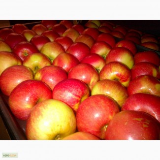 Продам яблоки из Китая