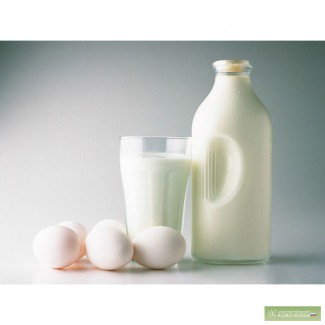 Молоко Низколактозное 2,5%,3,5%, опт