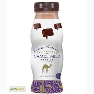Верблюжье молоко вкус шоколада