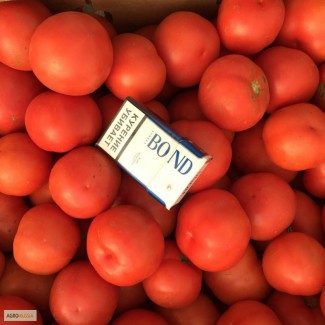 Продаем томат красный сорт Махито