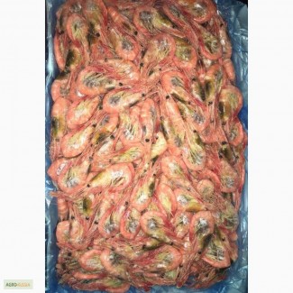 Креветка углохвостая варёномороженая - только оптом от 19 тонн