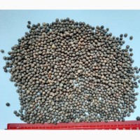 Семена вики яровой, 30 руб/кг