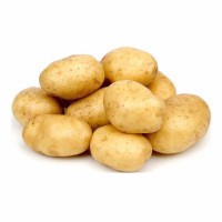 Продаём семенной картофель оптом от производителя