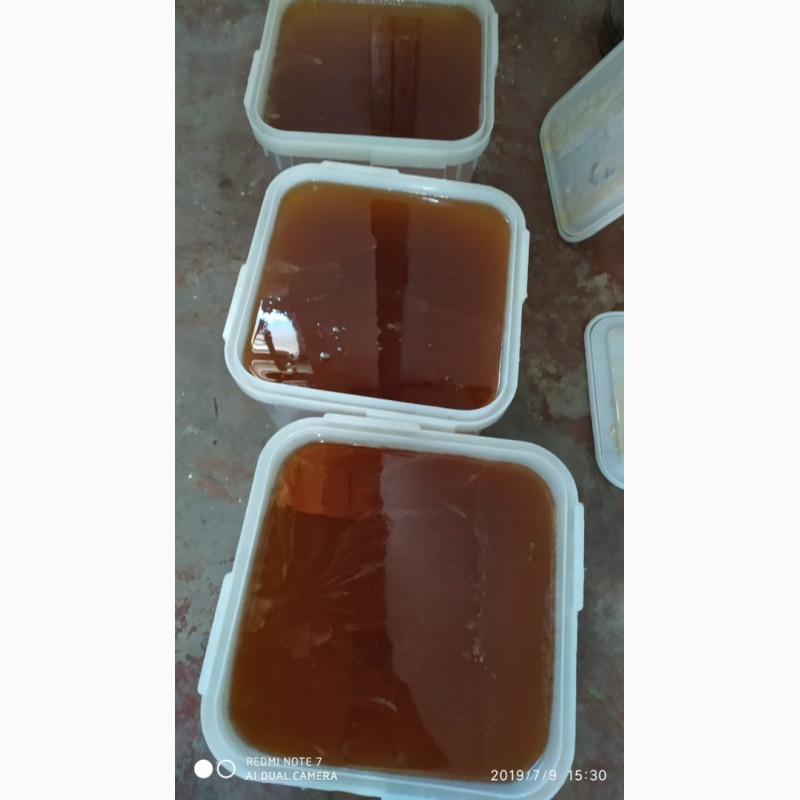 Фото 2. ООО Сантарин, реализует мёд с Алтая, и Краснодара как весовой и фасованный