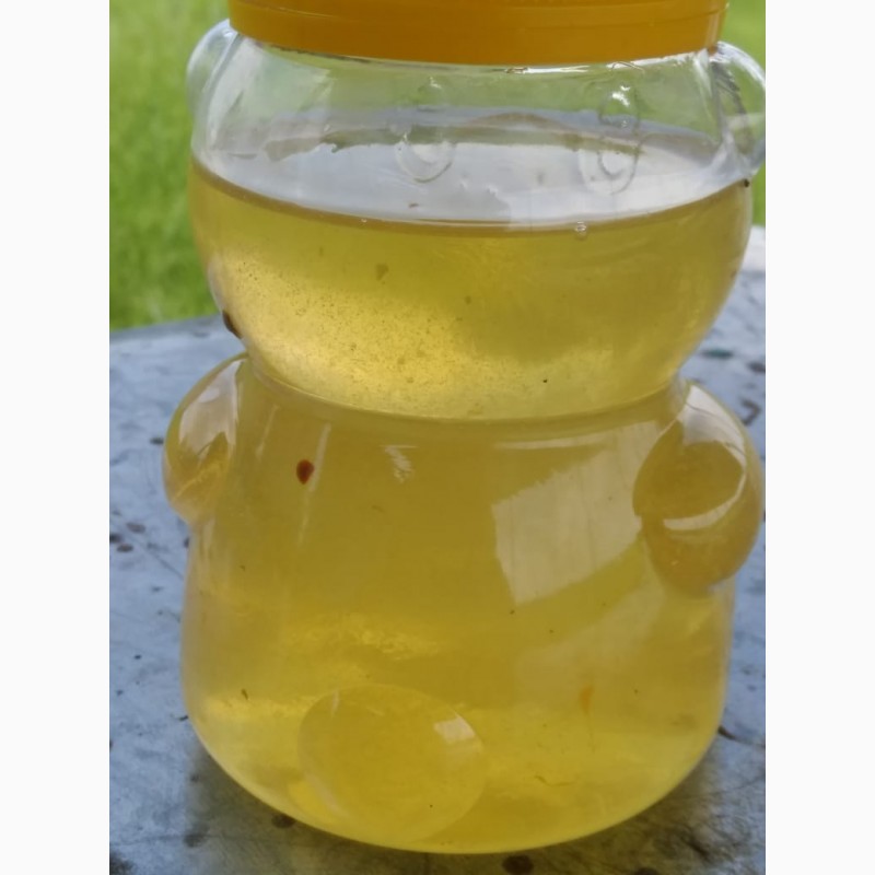 Фото 3. ООО Сантарин, реализует мёд с Алтая, и Краснодара как весовой и фасованный