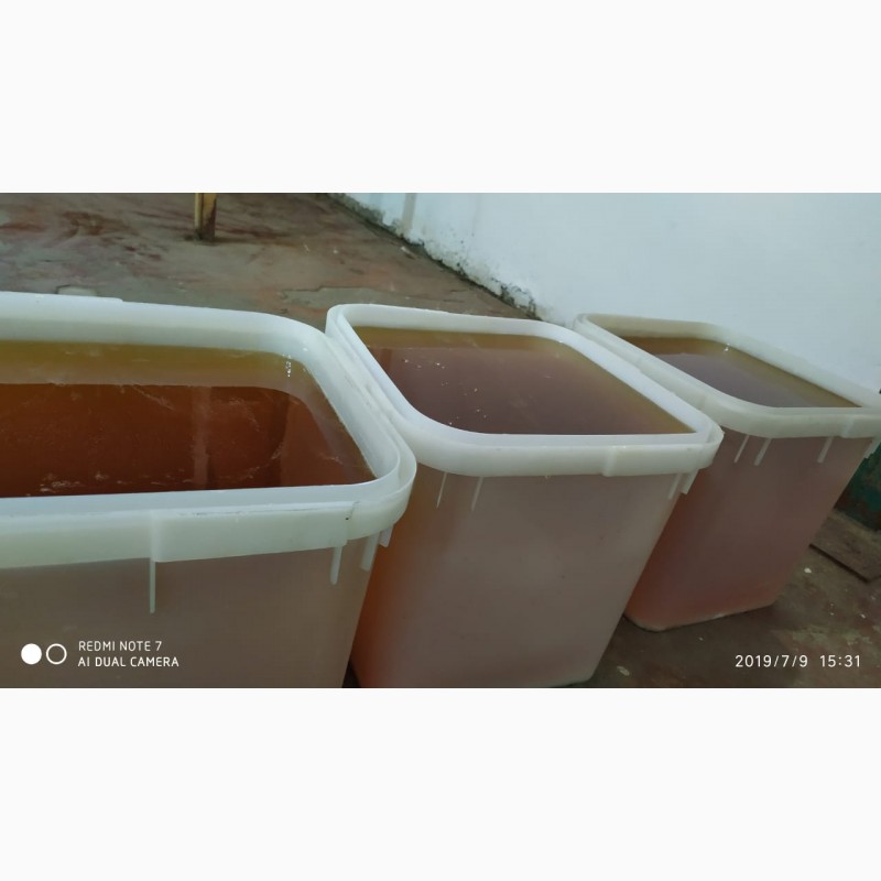 Фото 4. ООО Сантарин, реализует мёд с Алтая, и Краснодара как весовой и фасованный