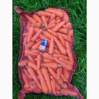Морковь продовольственная 1 сорт (Урожай 2019 года) с полей Брянской области