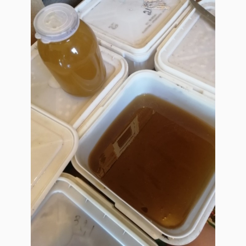 Фото 2. Продам башкирский липовый мёд. Оптом