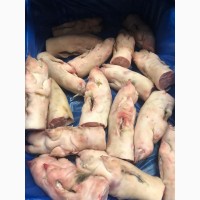 Продам ноги свиные на корм животным