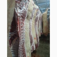 ОООСантарин, реализует мясо свинины 2, 3кат, свиноматки, хряки, подсвинки, жир, шпик